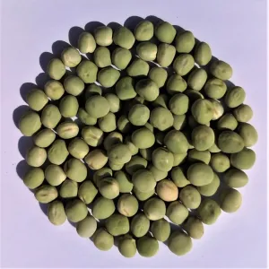 Aviron csávázatlan II. fok