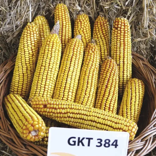 GKT 384 csávázatlan