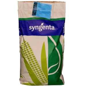 SY Scorpius Elevation csávázott+stimulátor