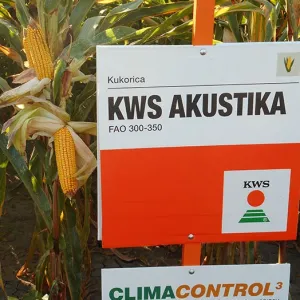 KWS Akustika Initio csávázott+stimulátor +Korit