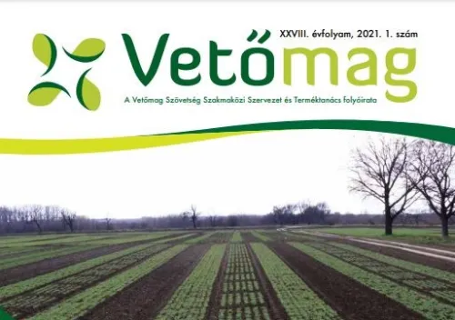 Egykoron zászlóshajót építettek Bábolnán