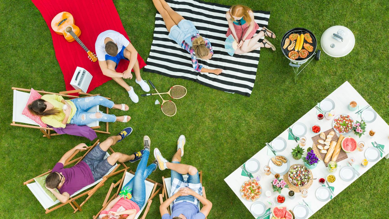 Okosan, a használati célnak megfelelően válassz fűmag keveréket (IS).