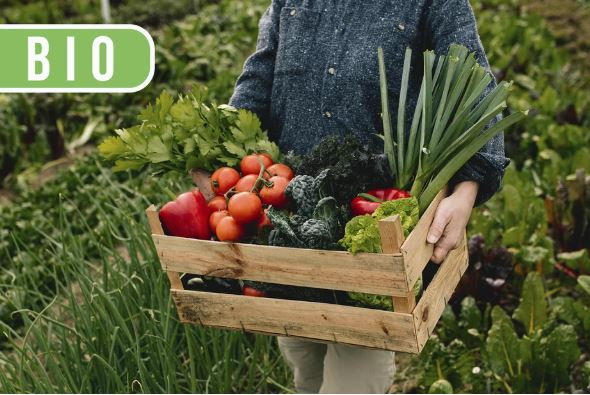 Biológiai vetőmag és csávázatlanság - gyakorlati útmutató