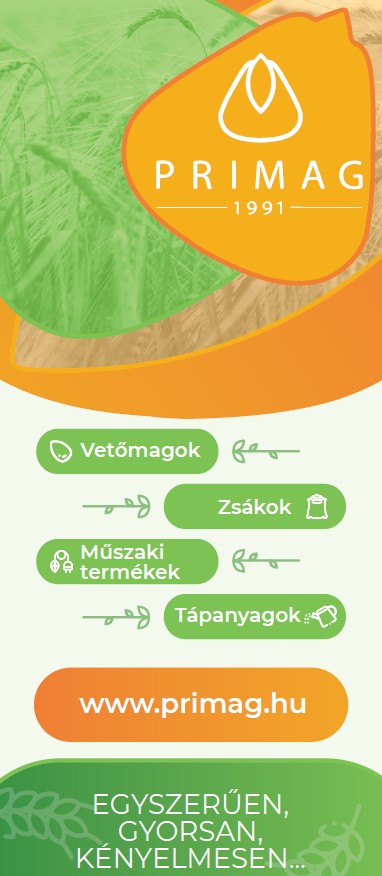 Innováció és folymatos fejlődés