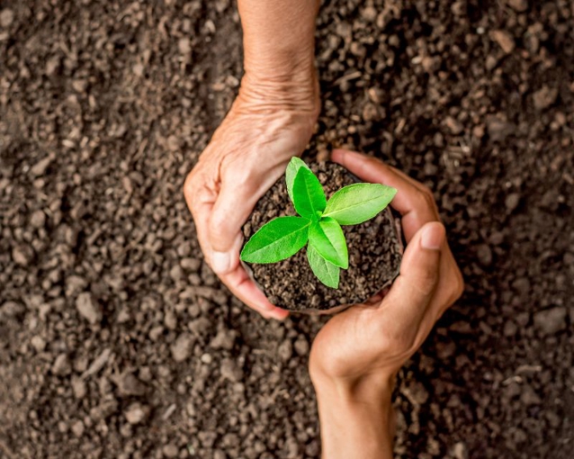 Modern talajjavító technikák a mezőgazdaságban