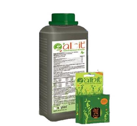 Albit