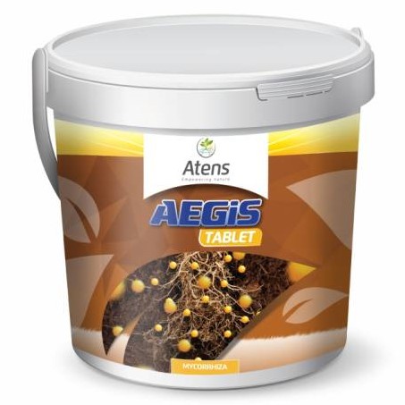 AEGIS mikorrhiza tabletta 500