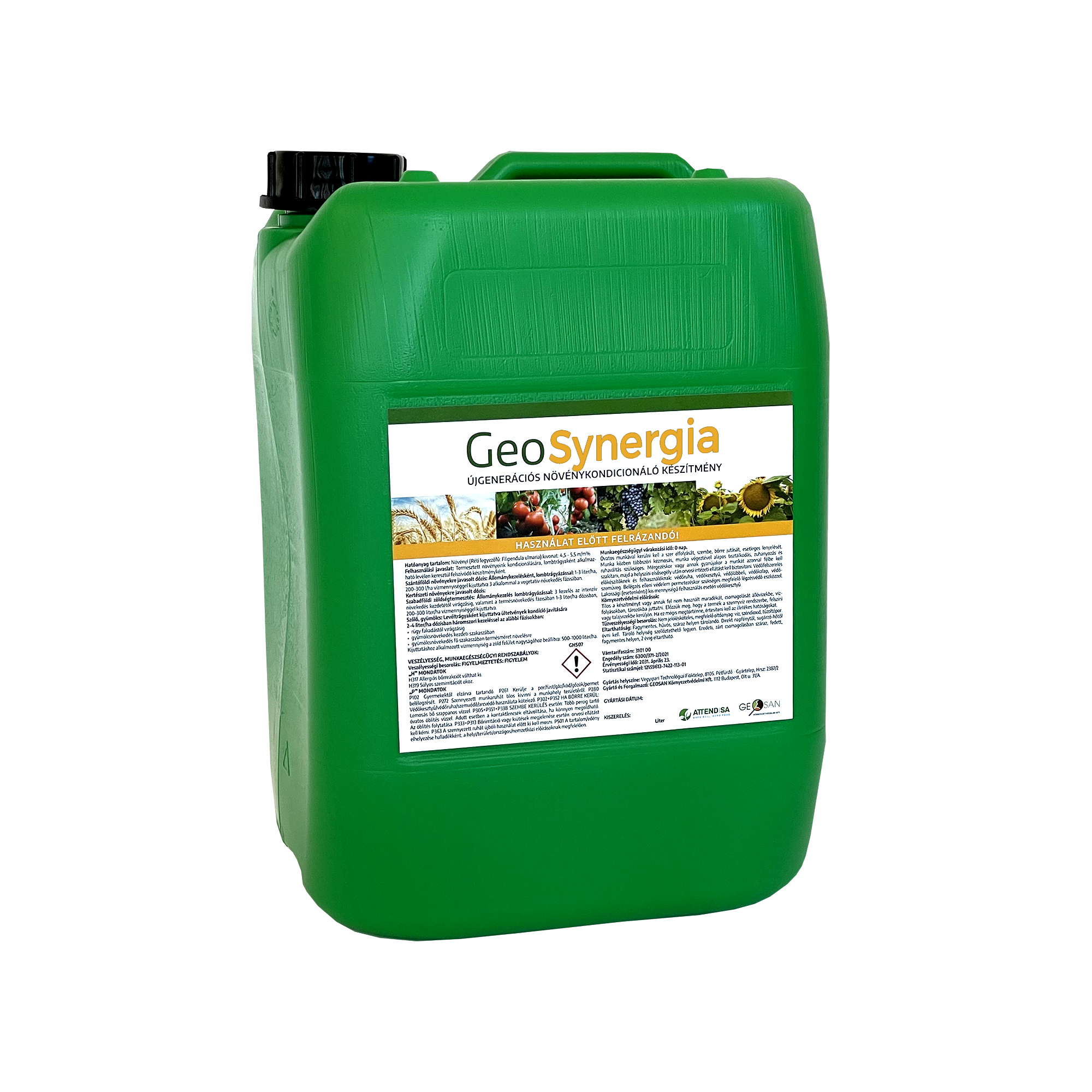 GeoSynergia