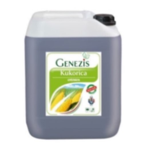 Genezis Kukorica