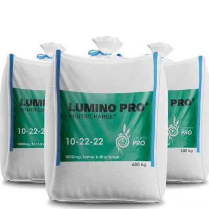 LuminoPro Silver NPK 10-22-22