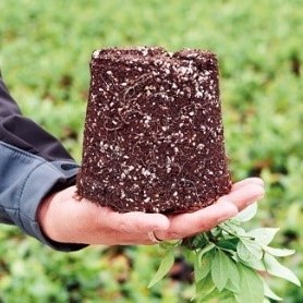 Perlit a természetes és környezetbarát megoldás