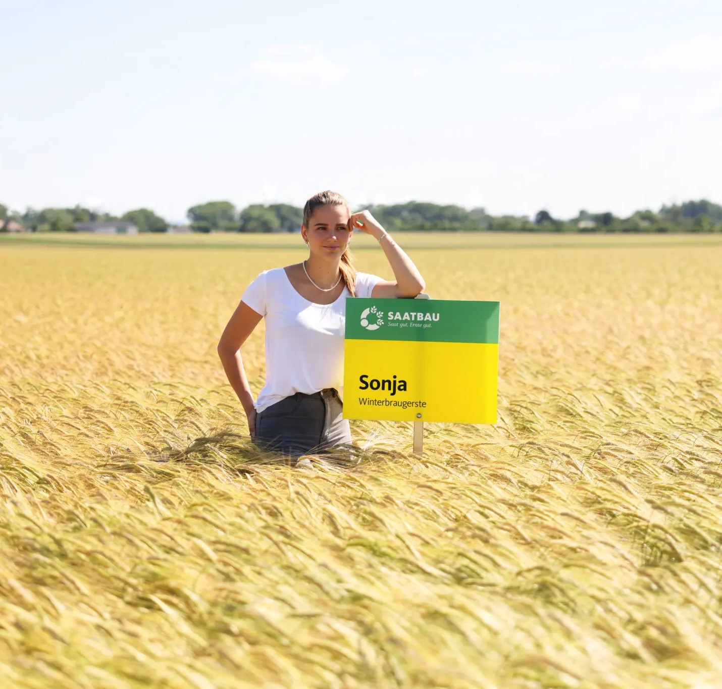 Sonja csávázott II. fok