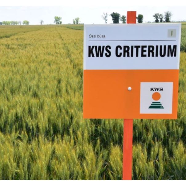 KWS Criterium csávázott II. fok