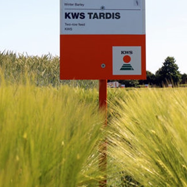 KWS Tardis csávázott II. fok