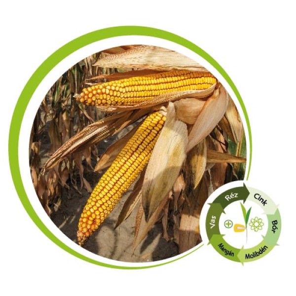 Kiskun 4368 csávázott+stimulátor