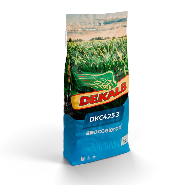 DKC 4253 Acceleron csávázott+stimulátor