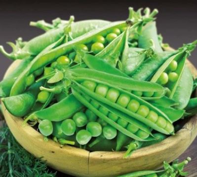 Debreceni korai csávázatlan standard