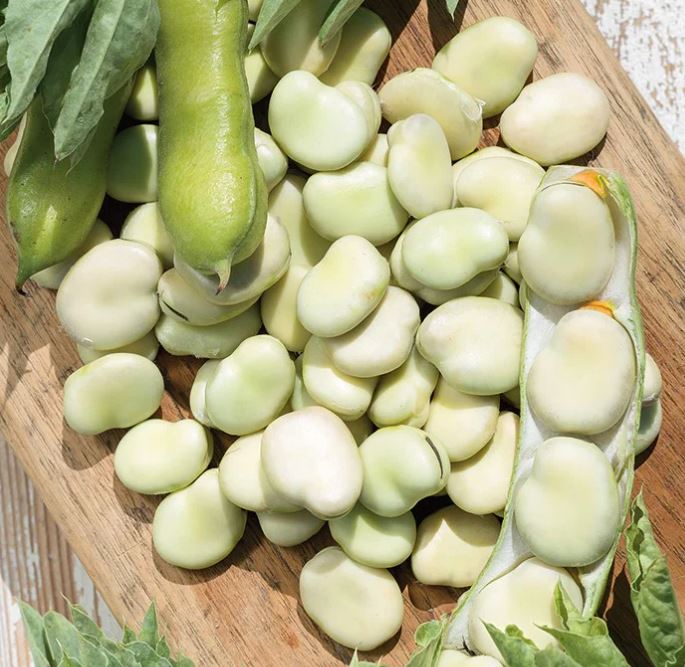 Superagualduce csávázatlan