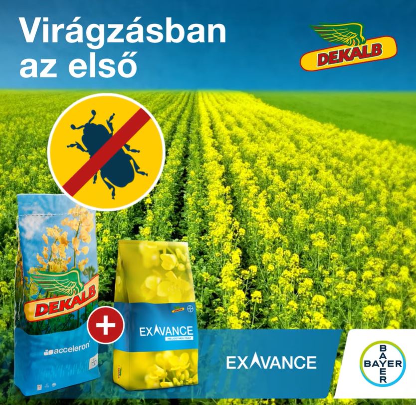 DKC Exavance csávázott