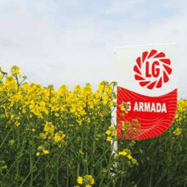 LG Armada csávázott+rovarölő