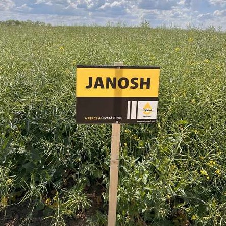 Janosh Rapool Seed Power Premium Plus csávázott+rovarölő +stimulátor