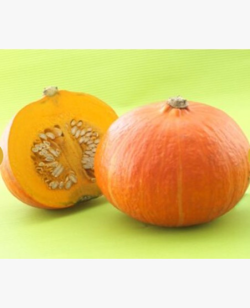 Delica Sun csávázott F1