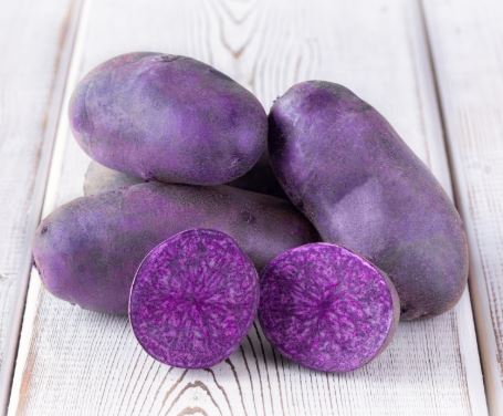 Bleuet holland csávázott A 35-50 mm