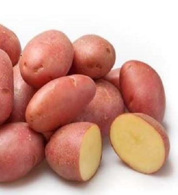 Labella holland csávázott A 35-55 mm