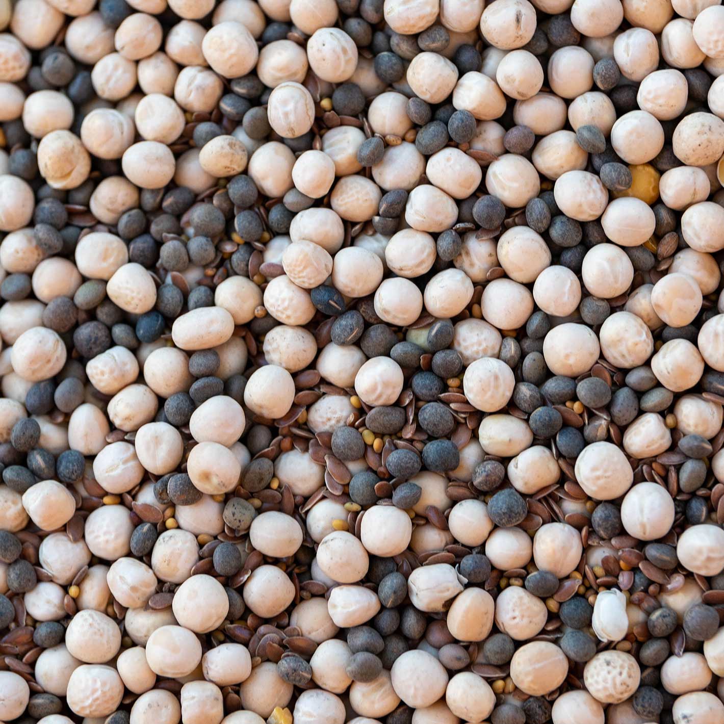 Nitrogén Nagymester Haladó csávázatlan