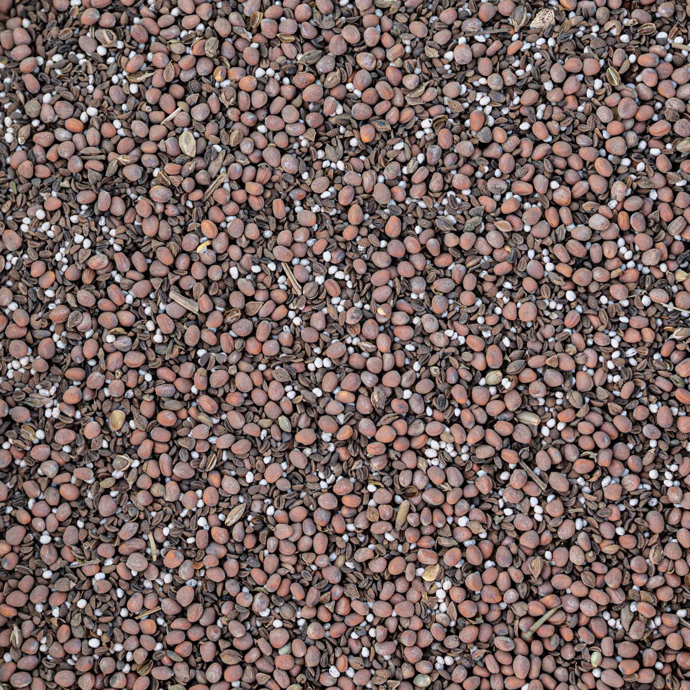 AKG Realista csávázatlan