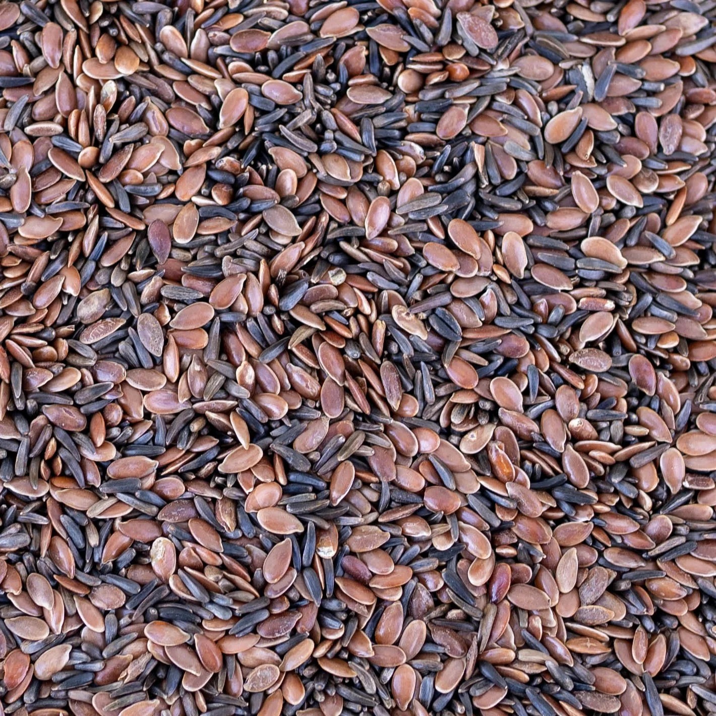 AKG Nyári lendület csávázatlan